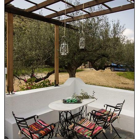 Liodentro House Villa Kárpathosz Kültér fotó